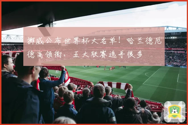 挪威公布世界杯大名单！哈兰德厄德高领衔，五大联赛选手很多