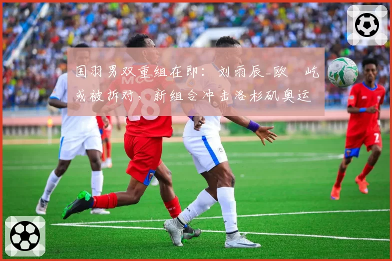 国羽男双重组在即：刘雨辰_欧烜屹或被拆对，新组合冲击洛杉矶奥运